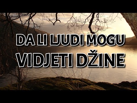 Da li ljudi mogu vidjeti džine? - dr. Safet Kuduzović