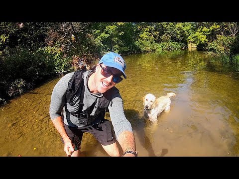 download lagu mp3 mp4 Fly Fishing London Ontario, download lagu Fly Fishing London Ontario gratis, unduh video klip Fly Fishing London Ontario