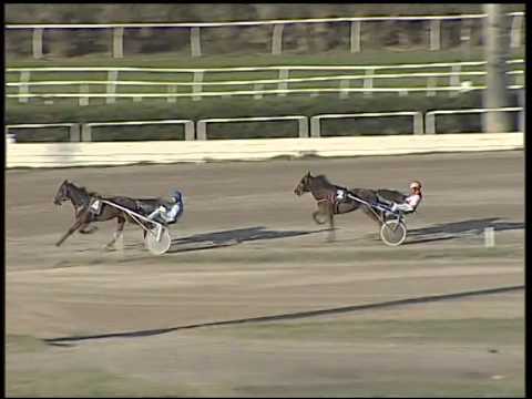 Trotto 13/11/2014 - 3° prova di qualifica