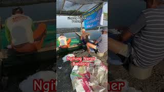 Download lagu Tempat Hitung Nener Bandeng #nenerbandeng mp3