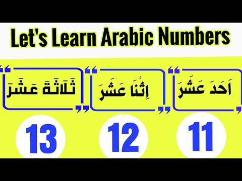 Arabic numbers 11 to 20 | Double digits numbers in Arabic | Learn basic Arabic grammar | Educational
