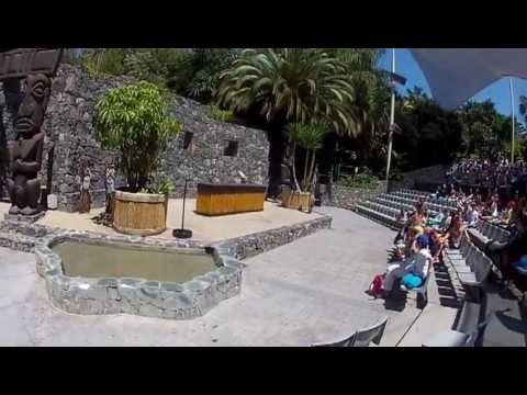 Шоу птиц в Порт Авентура 3. GoPro Hero 2. 