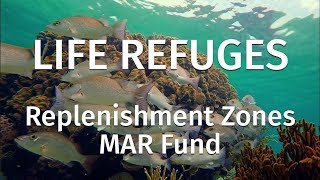  Live Refuges - Replenishment Zones - Part 1