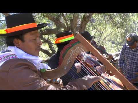 rico toril de anccasilla 2017