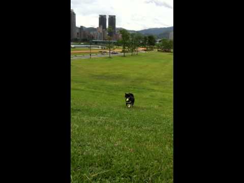 陽光公園你丟我撿(原發表者:菲菲)(影片)