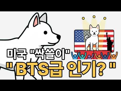 BTS 다음은 진돗개? 미국 반려견 시장을 싹쓸이한 K-진돗개의 충격적인 위상