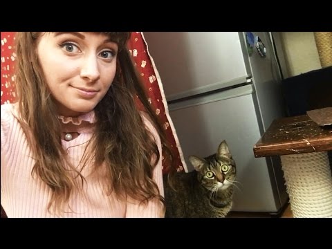 the TRUTH behind animal cafes in Japan