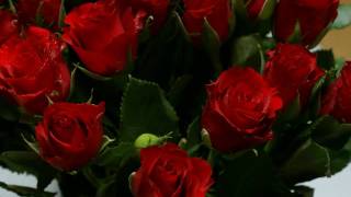 Wayne Newton - Red Roses For A Blue Lady