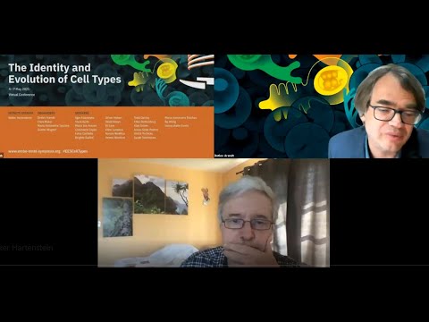 EMBL Keynote Lecture: Developmental Architecture of the Drosophila Central Complex...