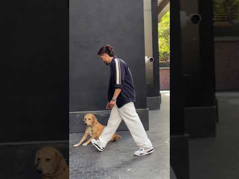 Farhan Akhtar is truly a Dog Lover 😍| PapaPaparazzi