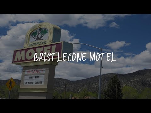 Bristlecone Motel Review - Ely , United States of America