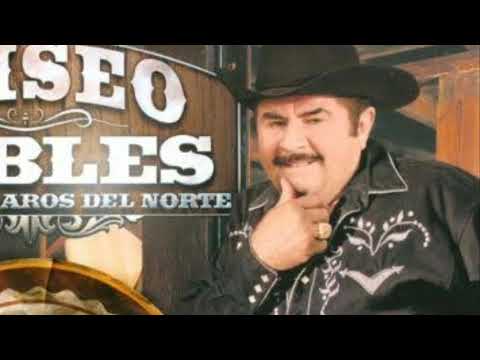 Las 15 mejores canciones para mi viejo. Mix. Eliseo robles y los bárbaros del norte.