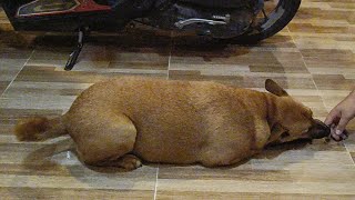 after a big dinner his feelings changed !
