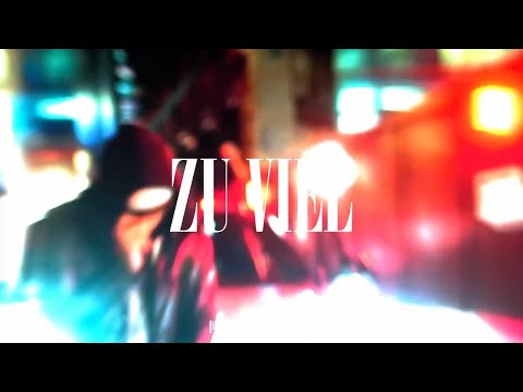 JOJE x PASHANIM TYPE BEAT 2026 - "ZU VIEL"