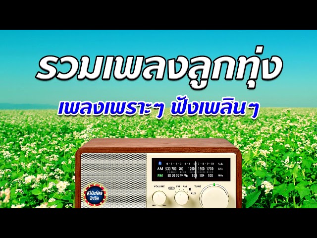 เพลงลูกทุ่งใหม่ล่าสุด live