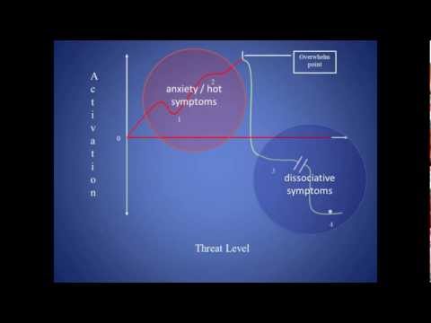 Stress, Trauma and the Body