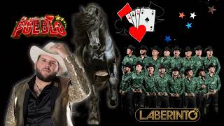 el gato 💥el fantasma ft grupo Laberinto 💥