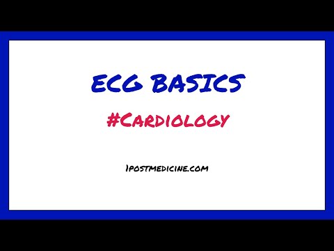 ECG Basics // Cardiology