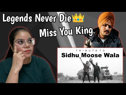 PTG - SIDHU WARGAY Reaction | Mixam | Mirza Nani | Rapo | Madhu Filmi Tadhka |