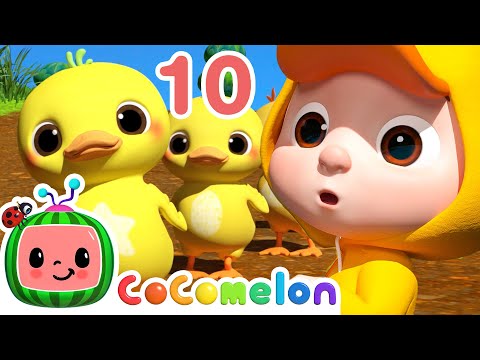 Count to 10 Little Duckies | CoComelon Animal Time | Animals for Kids