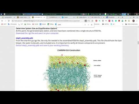 AMBER | An Amber Lipid Force Field Tutorial: