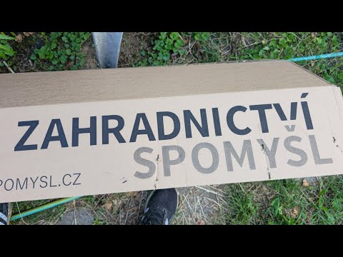 Nákup Spomyšl - rybíz, borůvka, keřová višeň