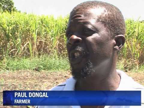 Guadeloupe's sky high prices spoil tropical paradise