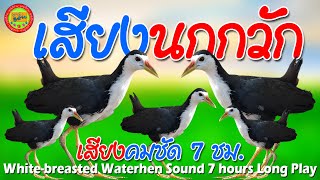 Download lagu āđāļŠāļĩāļĒāļāļāđāļāļāļāļāļ§āļąāļ āļāļāđāļāđāļāļē āļāļāđāļāđāļēāđāļĢāđāļ§āđāļāđāļāļĨāđāļāđāļāļāļ100% āđāļŠāļĩāļĒāļāļāļāļāļ§āļąāļāļĢāđāļāļāļŦāļēāļāļđāđ āđāļŠāļĩāļĒāļāļāļąāļ100% āļāļāđāļāđāļēāđāļĢāđāļ§āļĄāļēāļ100% mp3 Download lagu āđāļŠāļĩāļĒāļāļāđāļāļāļāļāļ§āļąāļ āļāļāđāļāđāļāļē āļāļāđāļāđāļēāđāļĢāđāļ§āđāļāđāļāļĨāđāļāđāļāļāļ100% āđāļŠāļĩāļĒāļāļāļāļāļ§āļąāļāļĢāđāļāļāļŦāļēāļāļđāđ āđāļŠāļĩāļĒāļāļāļąāļ100% āļāļāđāļāđāļēāđāļĢāđāļ§āļĄāļēāļ100% mp3