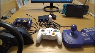 GameCube Accessories on Nintendo Switch (22)