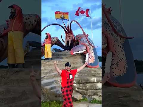 Confronto de lagosta Ryan VS MEGA em New Brunswick 🌊🦞 #RoadsideAttractions #LobsterFever