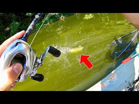I WON MY FIRST FISHING TOURNAMENT EVER!!! (HUGE BASS CAUGHT) Video