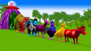 Paint & Animals Duck,Gorilla,Lion,Elephant,Tiger,Cow,Sheep Fountain Crossing Transformation Animals