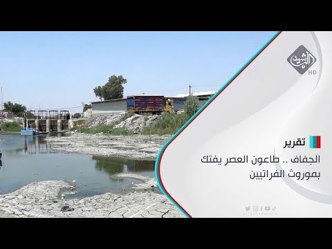 شاهد بالفيديو.. الجفاف .. طاعون العصر يفتك بموروث الفراتيين