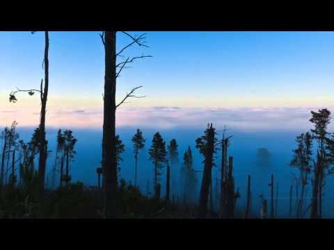 Simon Collins - Fast Forward the Future (fan video)