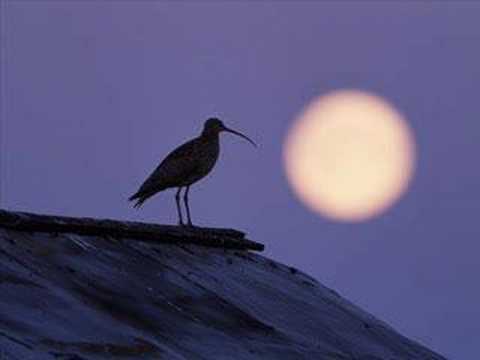 Telegram För Fullmånen