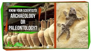 Know Your Scientists! Archaeology or Paleontology?