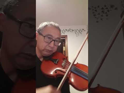 Bach: Sonata No. 3, BWV 1005, Largo