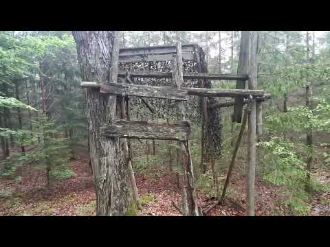 ÄLGTORNET - östra Hulta - MTB-skogen - RONNEBY - 2022-05-22 - BLEKINGE