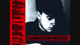 Peter Parker Experience - Schizophrenia (Sonic Youth Cover)