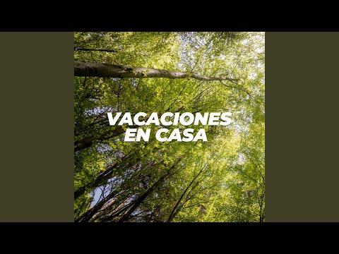 Cajitas Rectangulares