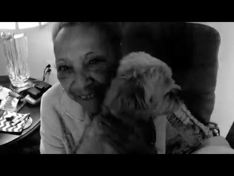 ACS Project. Self Portrait