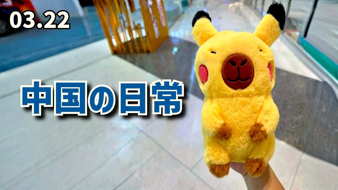 中国のショッピングモールには柴犬と「偽ポケモン」が…