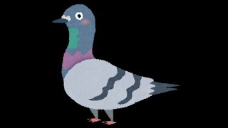 カジュアルゲーム制作してみよう配信