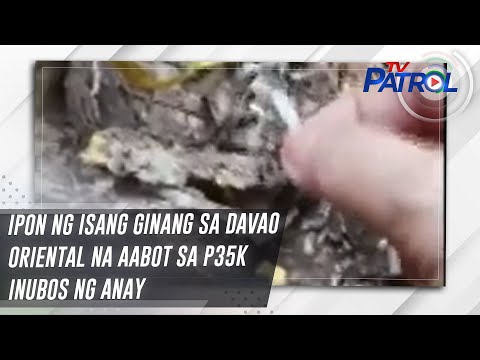 Ipon ng isang ginang sa Davao Oriental na aabot sa P35k inubos ng anay TV Patrol
