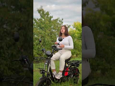 Миниатюра изображения товара Электровелосипед AVM E-Alfa Fat (черный)