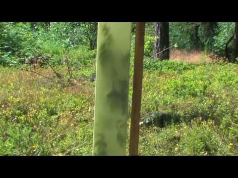 Baumschutz - Baumschutzsäulen Witasek PflanzenSchutz