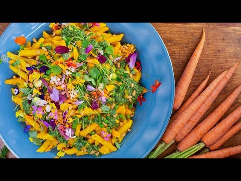 download lagu mp3 mp4 Carrot And Pasta Recipes, download lagu Carrot And Pasta Recipes gratis, unduh video klip Carrot And Pasta Recipes