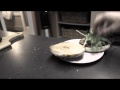 Epic Sandwich Wmv