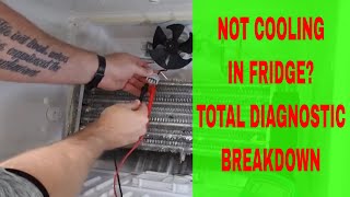 GE Fridge Not Cold — Easy Diagnostics for Every Possibility