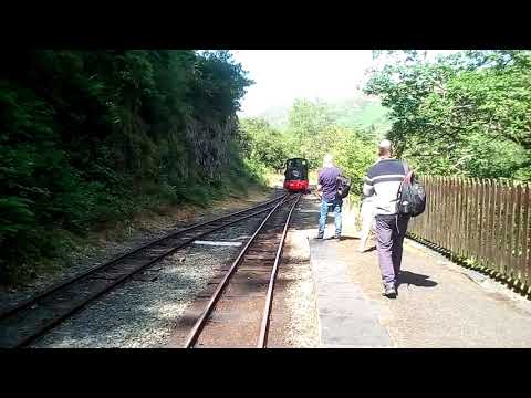 Sir Haydn running round the train